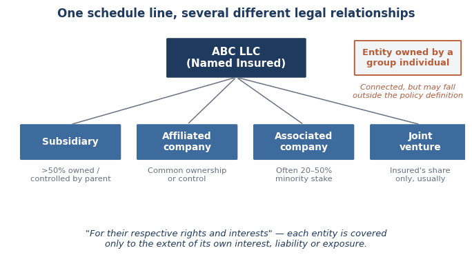 Diagram showing subsidiary, affiliated company, associated company, and joint venture relationships to a named insured.